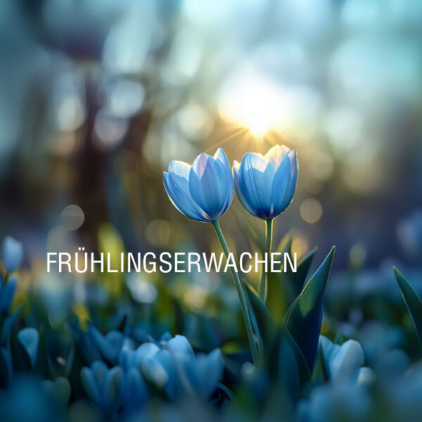 Fruehlingserwachen